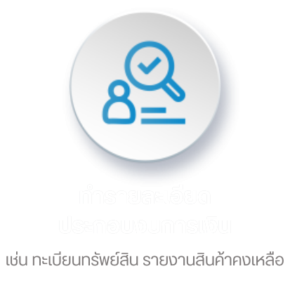 ทำรายละเอียดประกอบงบการเงิน